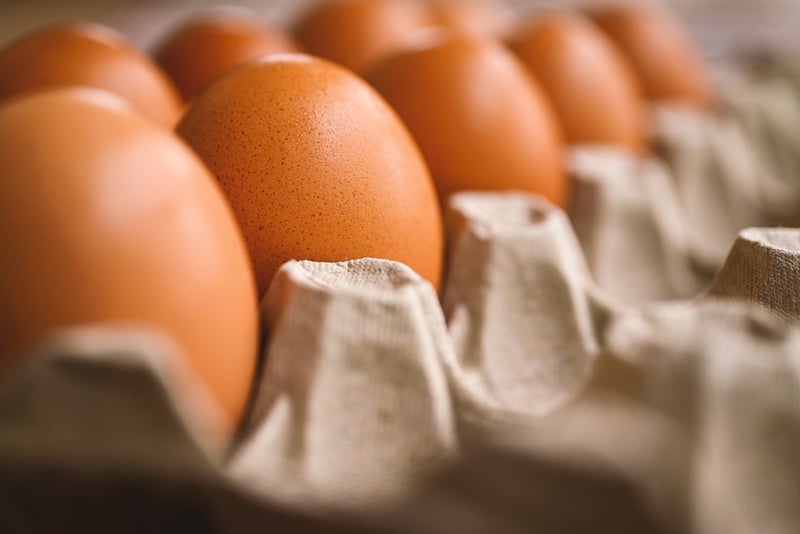 Egg and Garlic Dish
